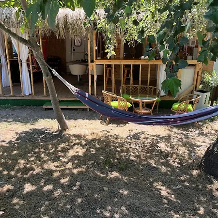 каравана бамбоо ソゾポル